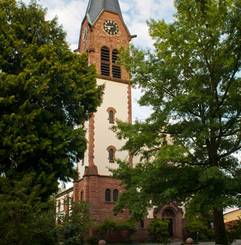 Blick zwischen 2 Bäumen hindurch auf die Christuskirche Achern